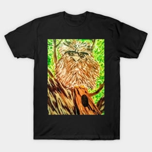 Grumpy Ol' Owl T-Shirt